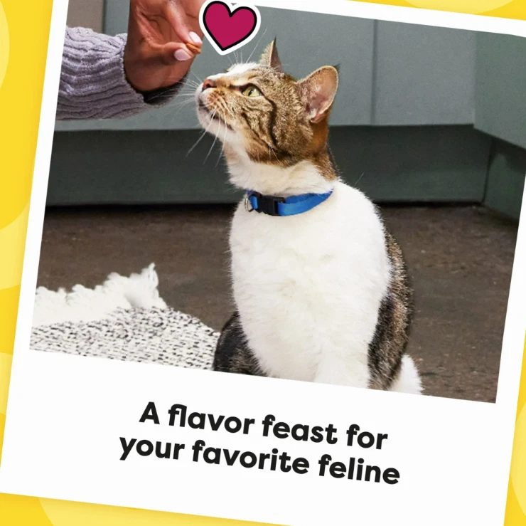 Golosinas crujientes y suaves sabor fiebre hierba gatera Temptations Mixups para gatos, 30 oz. Foto 4 de 4