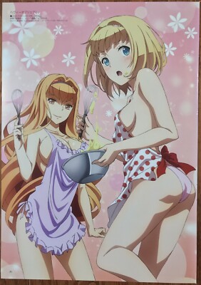 Japanese Harem Anime Strike The Blood Poster Wall Art Poster