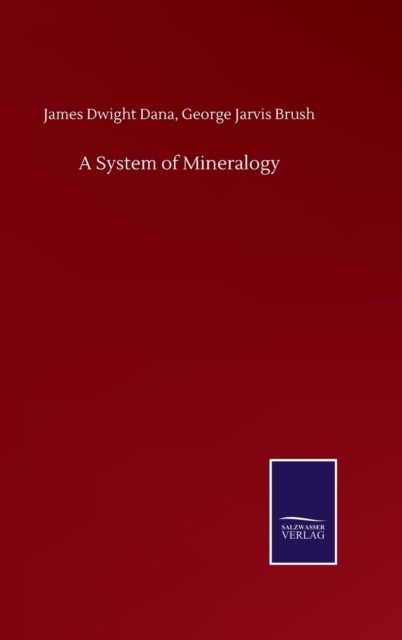 A System of Mineralogy by James Dwight Brush George Jarvis Dana HARDBACK