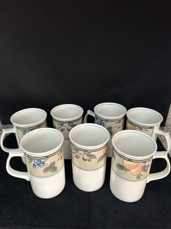 7 Mikasa Garden Harvest Cappiucino Mugs