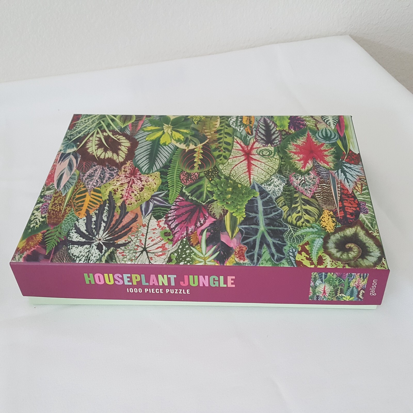 Houseplant Jungle Jigsaw Puzzle 1000 Piece Galison Puzzles 18" X 24' In Complete