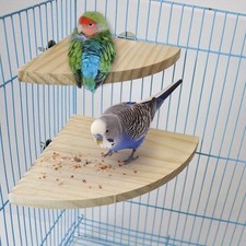 Bird Stand Perch Toy for Parrot Hamster Wooden Play Platform Cage Accessory