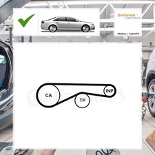 Continental Ctam Zahnriemen AUDI A8 (4E2, 4E8) 4.2 TDI quattro