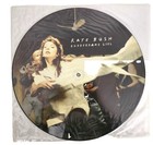 Kate Bush Picture Disc LP Vinyl Records