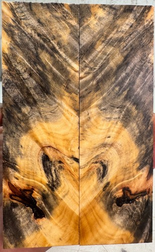 Bilancia per coltelli Buckeye Burl stabilizzata | SBB 997