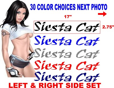 SIESTA CAT BOAT DECAL DECALS REPLACEMENT 30 COLOR OPTIONS hull side 