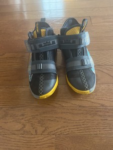 lebron james sneakers youth