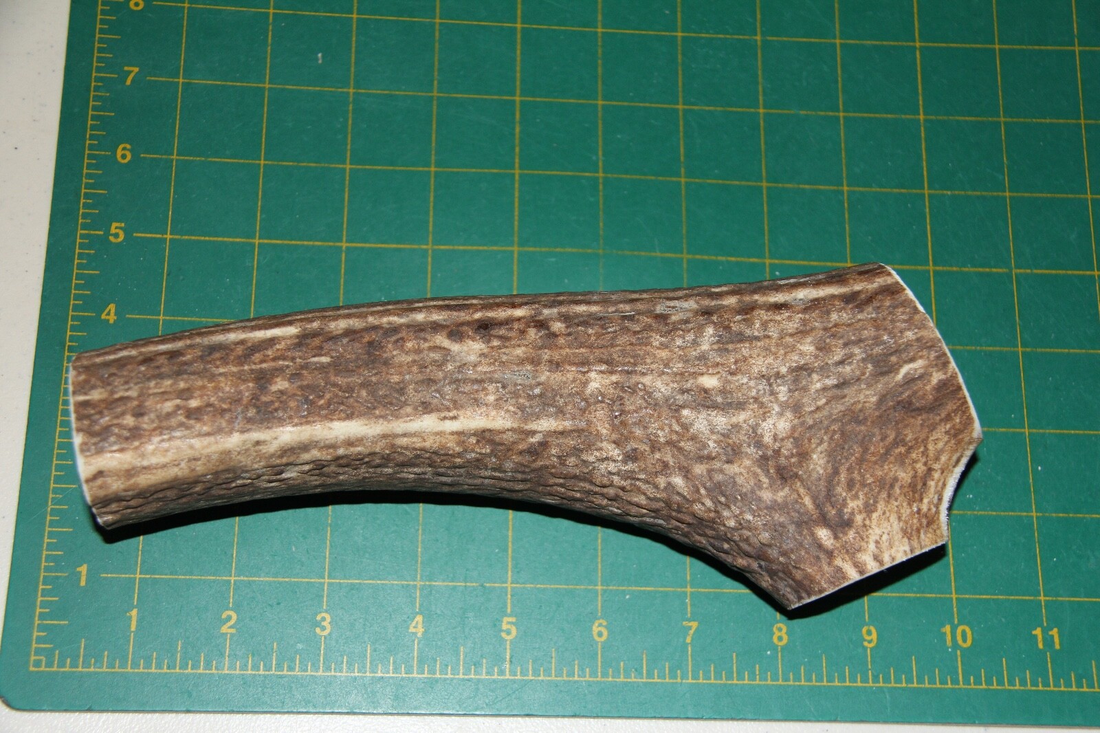 Jumbo Elk Antler 18 dog chew Mid Beam piece / chews deer chew XXL XL 1106 eBay