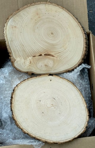 12 Live edge WOOD COOKIE DISCS SLABS round slice RUSTIC ~ Wedding Decor