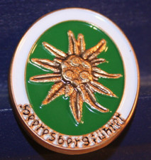 Ausverkauf    Pin  Wehrmacht Heeresbergführer  Edelweiss  Metall Neu   246