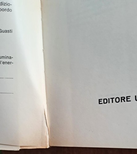 INGEGNERIA IL LIBRO DELL'ELETTRAUTO HOEPLI 6VV OPERA COMPLETA BATTERIE DINAMO - Foto 13 di 13