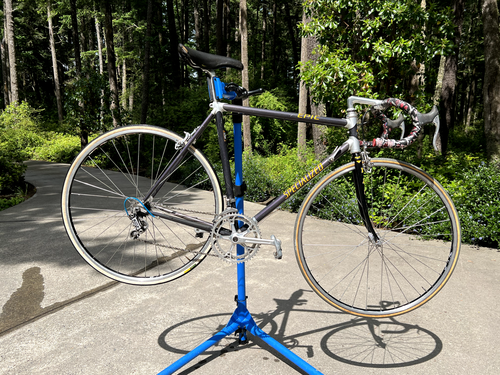 Vintage Specialized Epic Carbon Road Bike – Full Campagnolo Groupset – 56c