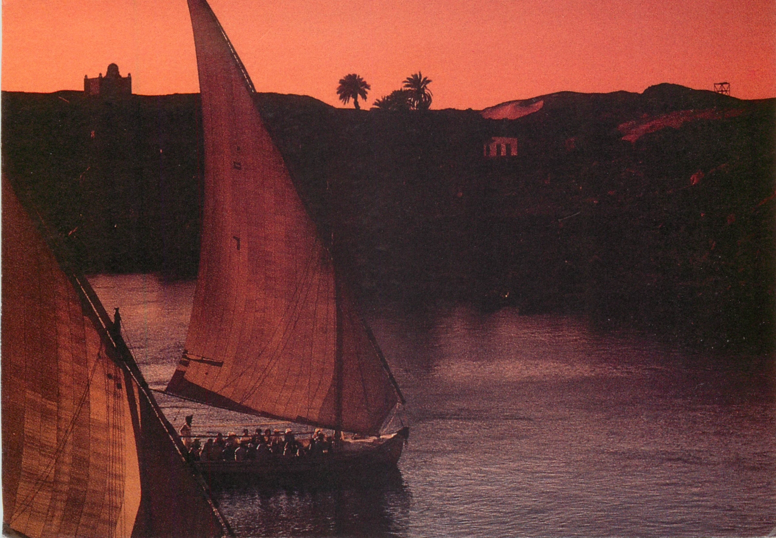 c18137-feluccas-aswan-egypt-postcard-ebay