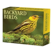 Willow Creek Press,  Backyard Birds 2026 Desk Calendar, 6.18'' X 5.43'', Daily C