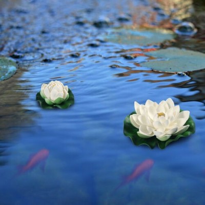 6pcs/set Künstliche Schwimmende Lotusblumen Seerosenblätter Für Hausgarten Teich