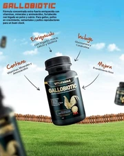GALLOBIOTIC CHICKEN VITAMIN FOR ROOSTERS 100 COUNT VITAFARMA EXP 12/2027