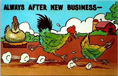 Postcard Animal Humor Rooster Chasing New Business B182