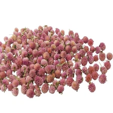 220 Pcs Dried Flowers Heads for Crafts Pink Globe Amaranth Natural Dried Gomp...