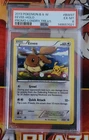 Eevee BW97 PSA 6 low pop pikachu holo promo legendary treasures, 2013 b and w