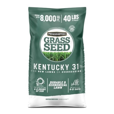 Grow Thick Lush Lawn Fast - Kentucky 31 Tall Fescue Seed 40 lbs