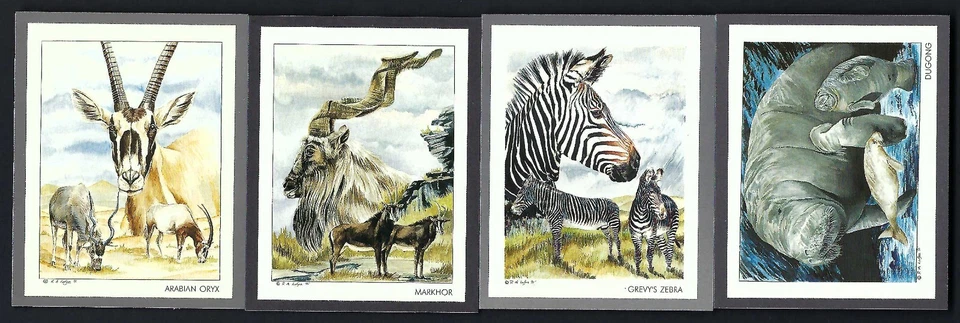 VICTORIA GALLERY - ENDANGERED WILD ANIMALS - FULL SET OF 20 CARDS - Image 3 of 4