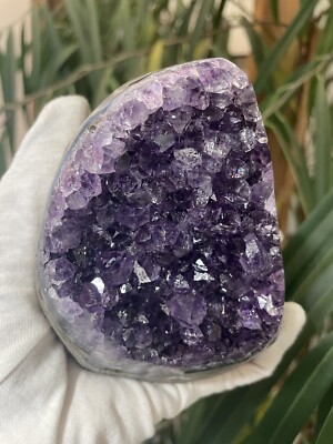 Hochqualitative Amethyst Druse AP48.  0,77 Kg.