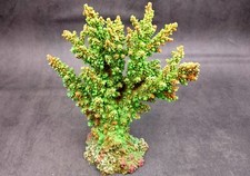 Green FAUX Branch Coral 1 Fake Coral approx. 7.5Tx7Wx2D inches 