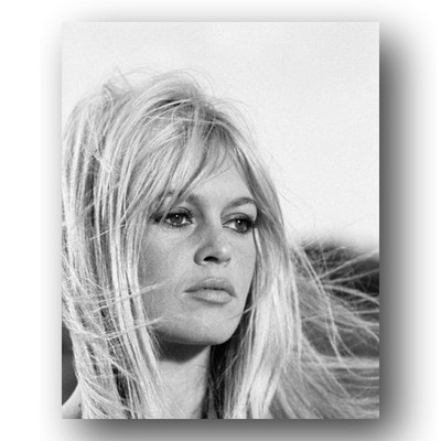 Brigitte Bardot Photo 8x10 Iconic French Actress Portrait Glamour Studio Shot-4