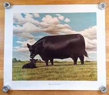 1961 Aberdeen-Angus Cow and Calf Poster 20x24 F.C. Murphy American Angus Vintage
