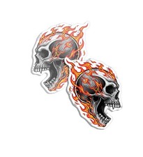 Flaming Skulls Vinyl Decal Sticker For Car Truck Motorcycle Bumper Window 2 Pack Flaming Skulls Vinyl Decal Sticker For Car Truck Motorcycle Bumper Window 2 Pack
