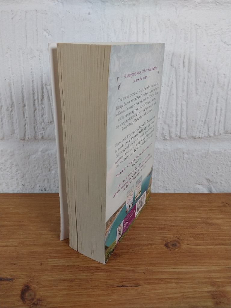 The Swallow and the Hummingbird — Santa Montefiore Paperback