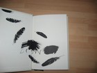 Bild 9 von 11