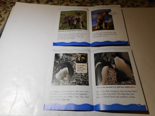 Scholastic 2 Science Vocabulary Readers Cool Penguins & Wonderful Wolves New! - Picture 11 of 13