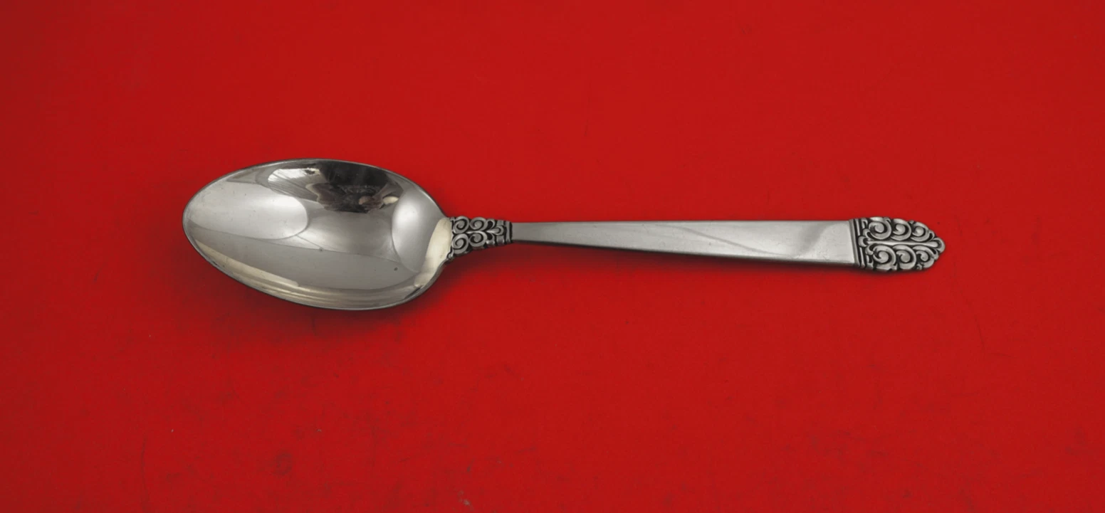 Northern Lights by International Sterling Silver Serving Spoon 8 1/2"
Opens in a new window or tab
