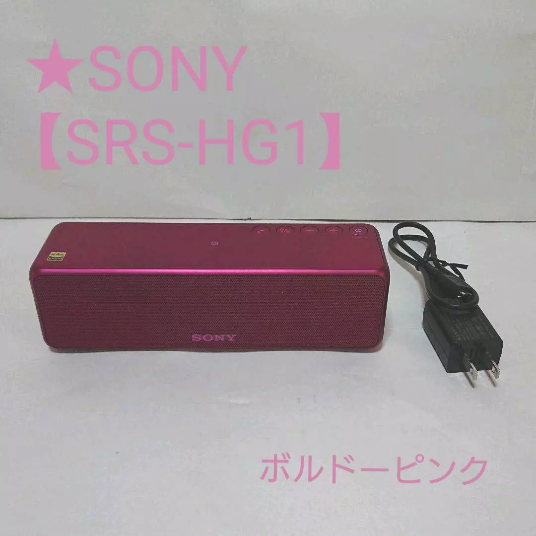 Sony SRS-HG1 Portable Speaker System