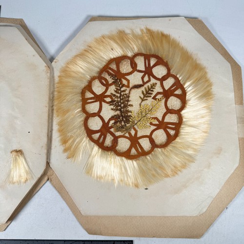 Set 6 No Jamaica Palm, Tree & Fern Doyleys Doilies in Orig Folder Circa 1880s - Picture 16 of 19