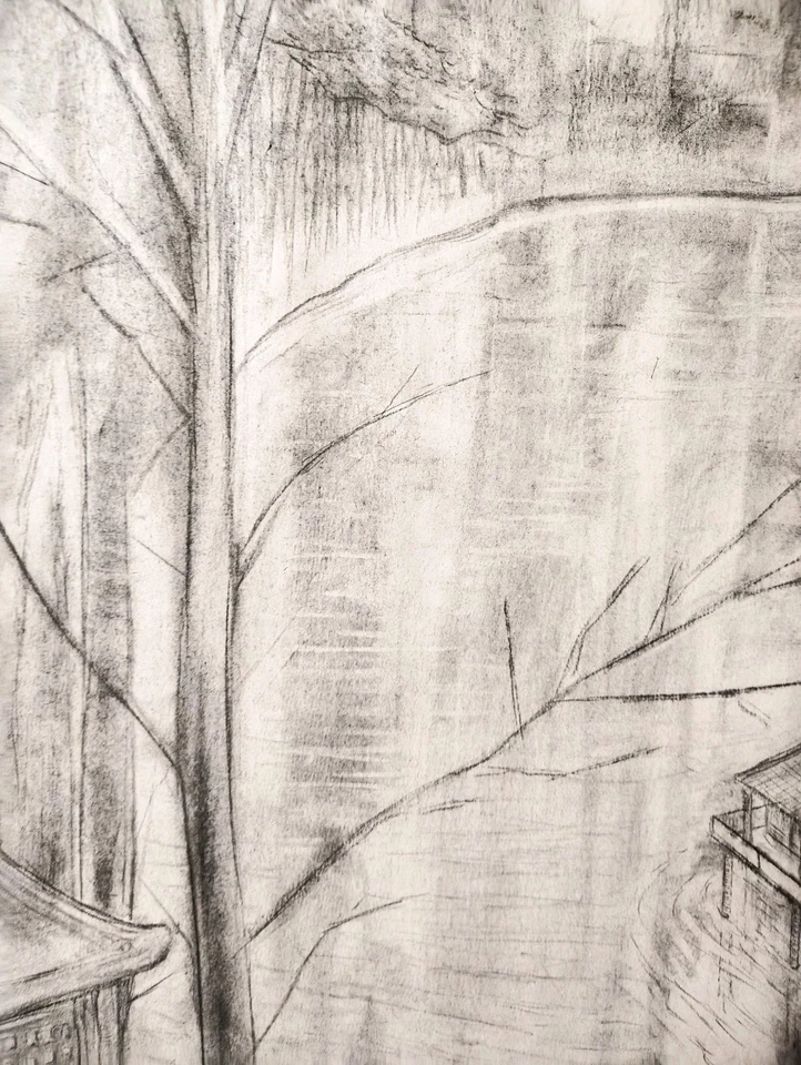 32 x 24 дюйма рисунок углем «Дом на озере» (размер плаката) от A. Avila - Изображение 4 из 4