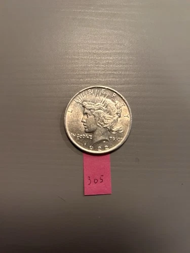 1922 Peace Dollar $1 Silver Coin 0.9 Fineness Uncertified Ungraded US