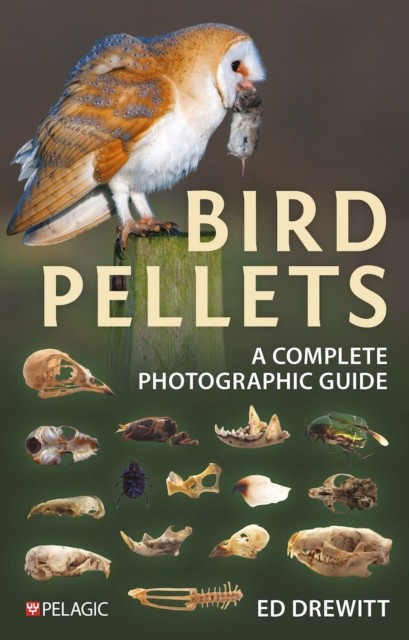 Bird Pellets by Ed Drewitt PAPERBACK - Image 7