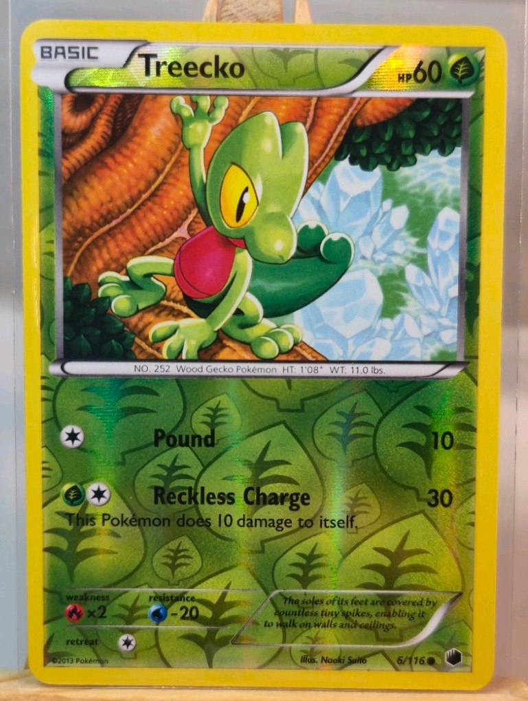 Treecko 6/116 Plasma Freeze Reverse Holo N/M POKEMON ENGLISH VINTAGE