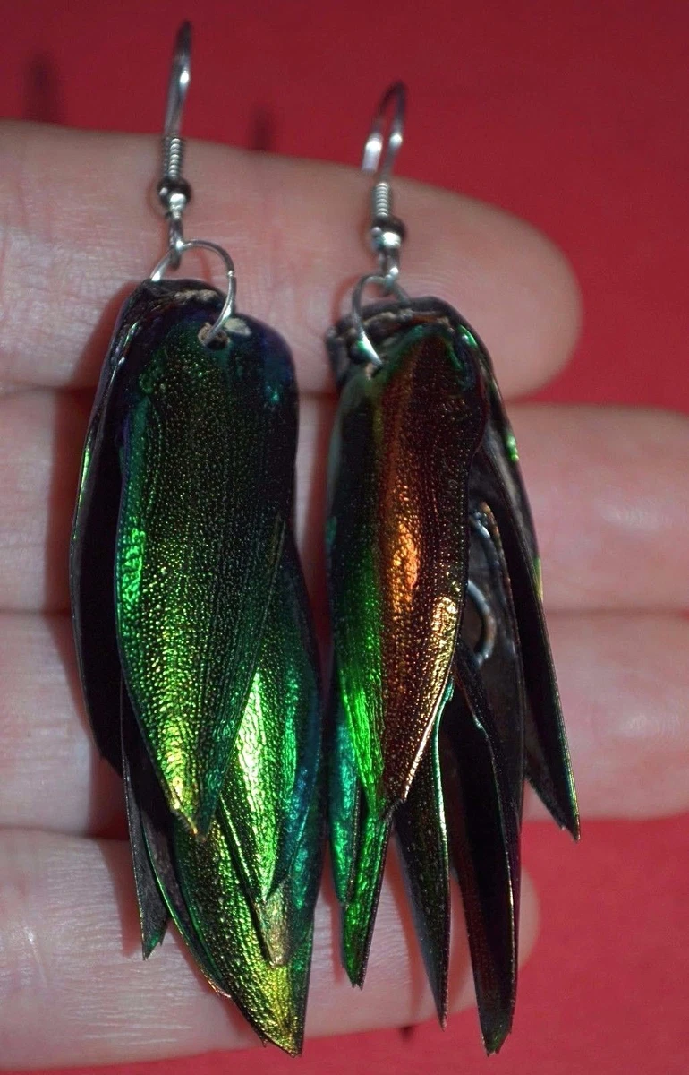 Green on sale beetle earrings
