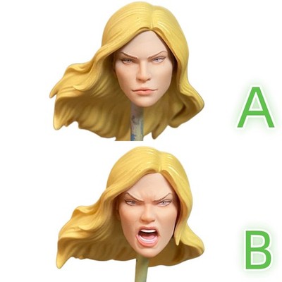 1/10 Painted Custom Black Canary Head Sculpt Fit Mcfarlane Action Figure