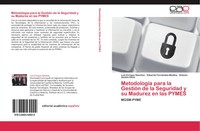 Luis Enrique SáNchez (U. A.) | MetodologíA Para La GestióN De La Seguridad Y...