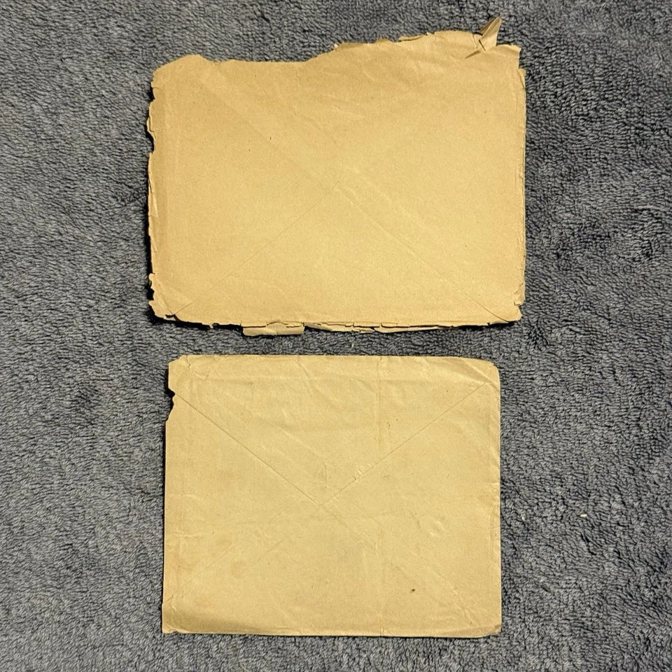 Cubiertas Caballeros de Colón de la Primera Guerra Mundial 1919 AEF APO 710 y 732 Marina e Infantería de los Estados Unidos Foto 4 de 4