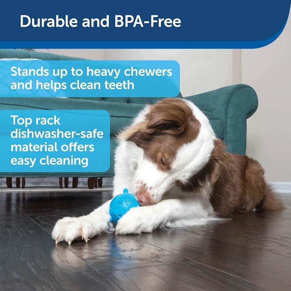 Busy Buddy Hippster Treat Dispensing 狗玩具-重型咀嚼者的益智玩具 — 第 2/4 张图片