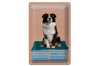 Blechschild Spruch 20X30 Cm Border Collie Hund Intelligent Deko Schild Tin Sign