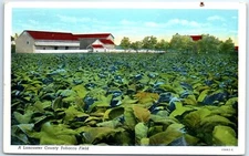 Unposted - A Lancaster County Tobacco Field, Pennsylvania, USA, North America