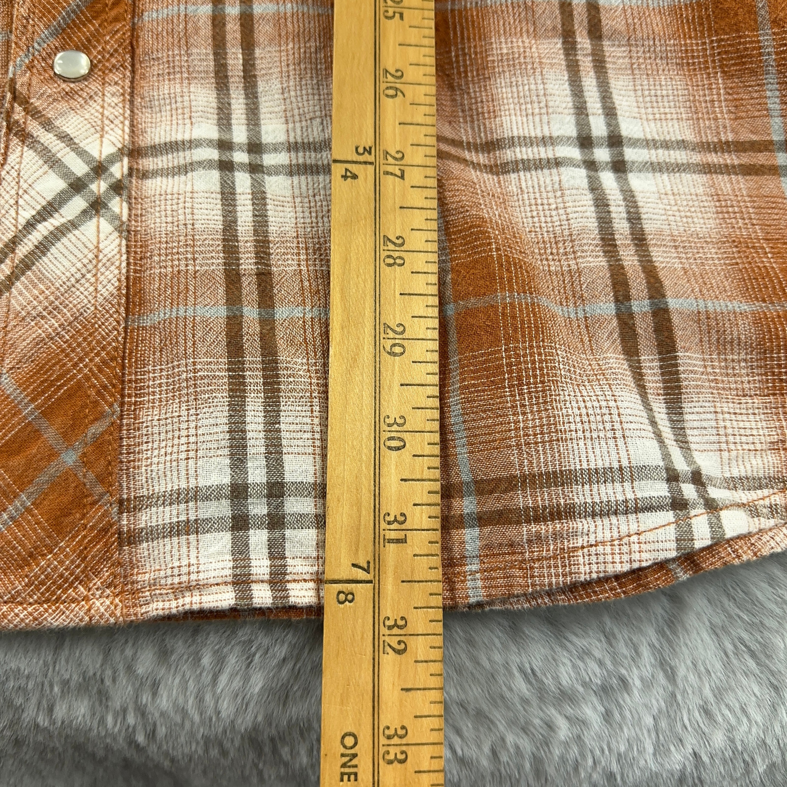 Picture 8 of 13