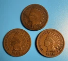 🔥 1895 1899 1908 Indian Head Cent Penny - Lot Of (3)