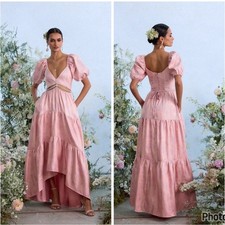 V Chapman The Emma Dress In Light Pink Windsor Brocade Size 12 Embellished Maxi